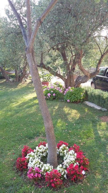 Apartment Oaza Mira Tribalj Rom bilde